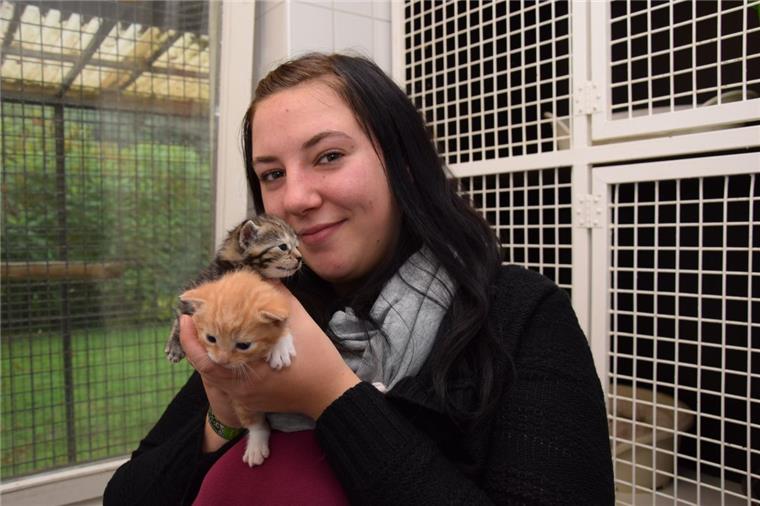 Stadt Nordenham sucht für Tierheim einen neuen Betreiber Jacqueline Adamietz ist seit dem 1. Oktober 2017 Betreiberin des Moyzes-Tierheims in Volkers. Doch sie hat gekündigt. Am 29. Februar 2020 hat sie dort ihren letzten Arbeitstag.