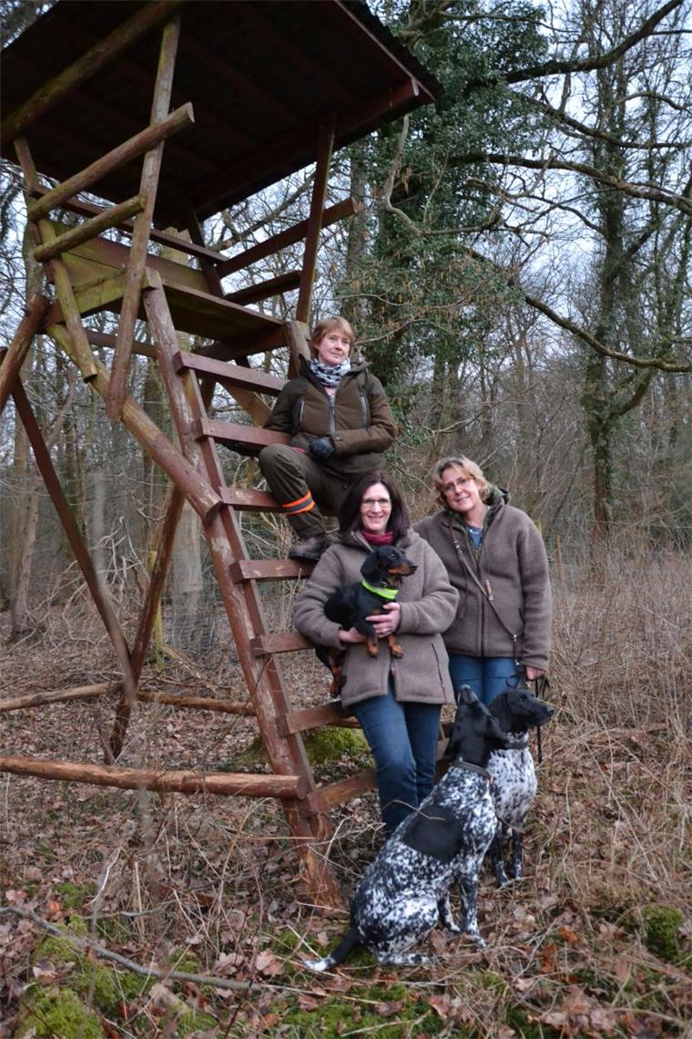 Immer mehr Frauen gehen in Zeven und umzu auf die Jagd „Jagd ohne Hund ist Schund“ lautet eine Redewendung: Ulrike Megies (unten links), Bettina Rakowitz und Angela Klagge (oben) pflichten dieser bei. Ihre Hunde dürfen beim Jagen nicht fehlen.