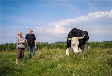 Jan Gerdes und Karin Mück auf der Wiese am Hof Butenland in Butjadingen.