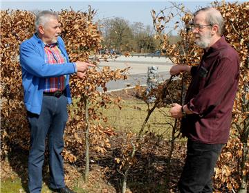 Jan Gommans (links) und Bernd Matthies an der Hainbuchenhecke, die mit niedrigem Drahtgeflecht für die Damhirsche auf ihrem Weg zum Friedhofsgelände offenbar kein Hindernis darstellt.
