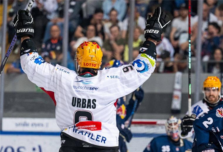 Der Pinguins-Wahnsinn geht weiter: Nur noch ein Sieg fehlt bis zum Finale Jan Urbas jubelt nach seinem Treffer zum 3:0.