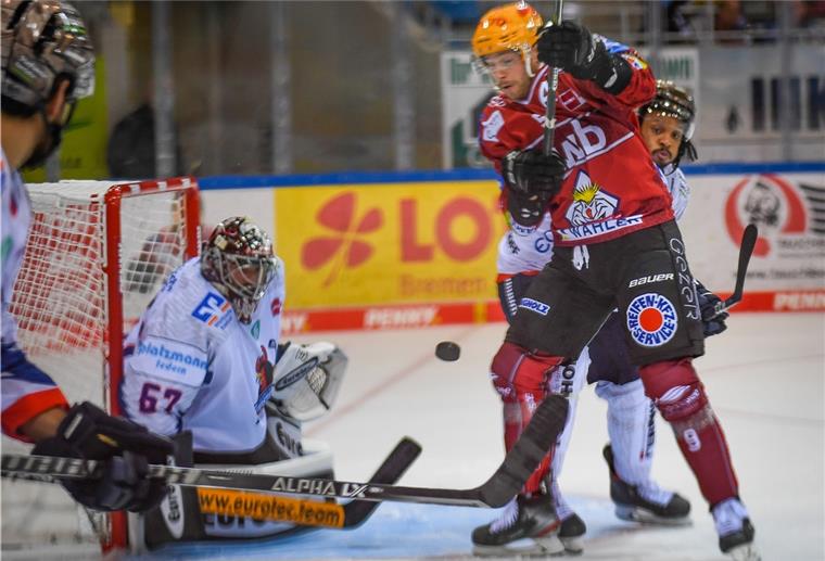 Jan Urbas und die Fischtown Pinguins haben sich den Sieg beim heimischen swb-Energie-Cup geholt.