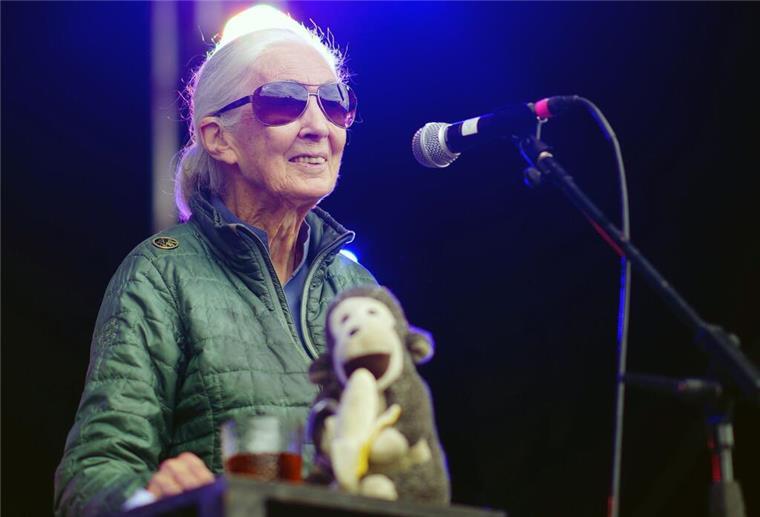 Jane Goodall macht Festival-Besuchern Mut Jane Goodall auf der Greenpeace-Bühne beim Glastonbury Festival in Worthy Farm.