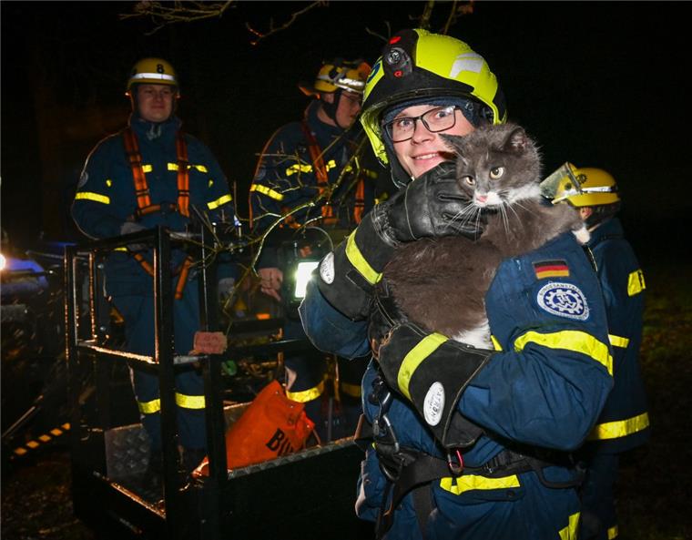 Happy End in Spaden: THW rettet Katze von Baum Jannes Suhrhoff vom THW hat mit seinen Kollegen Katze „Puschkin“ aus 11 Meter Höhe von einem Baum im Breslauer Weg gerettet.