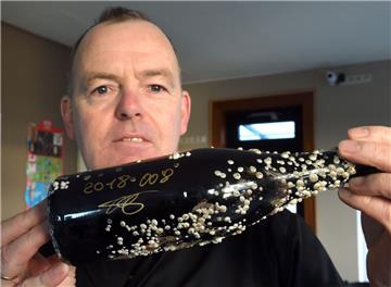 Jedes Seepockenbier ist ein Einzelstück: Die Flaschen versieht Oliver Köhn mit Nummer und Signatur.