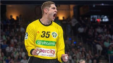 Joel Birlehm und die TSV Hannover-Burgdorf spielten in Flensburg.
