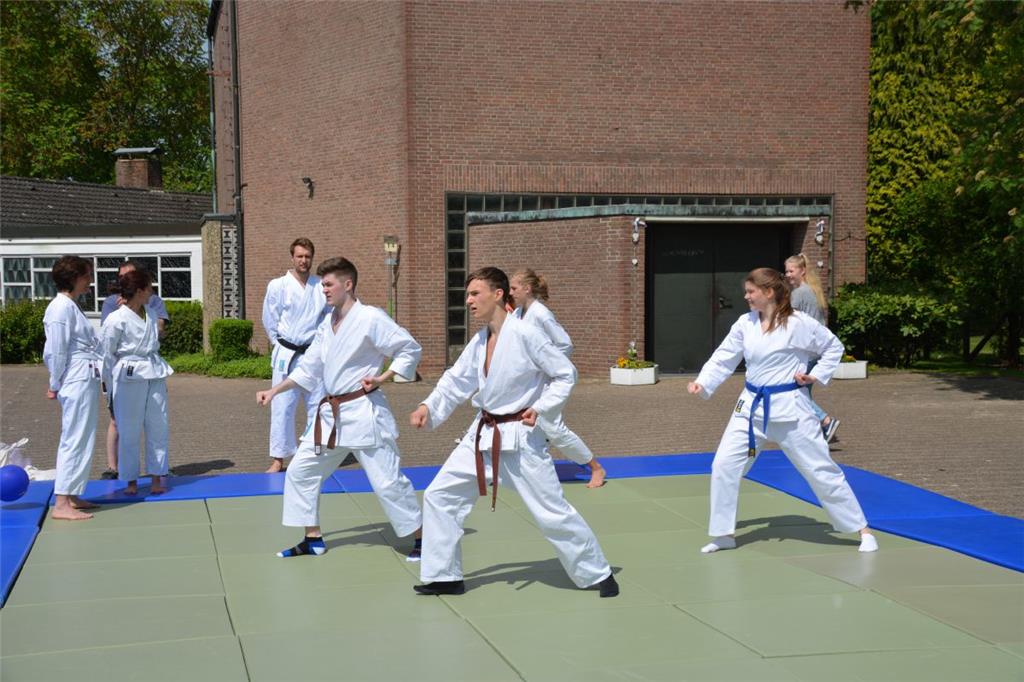 Karatekids bei go sports in Loxstedt. Foto: Seelbach