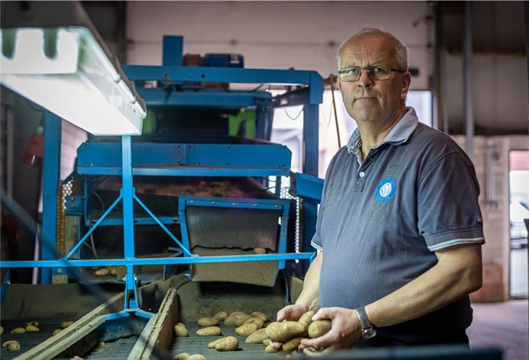 Kartoffelbauer Hans-Dieter Feldmann aus Sievern sortiert sein Gemüse, das er selbst angebaut hat.