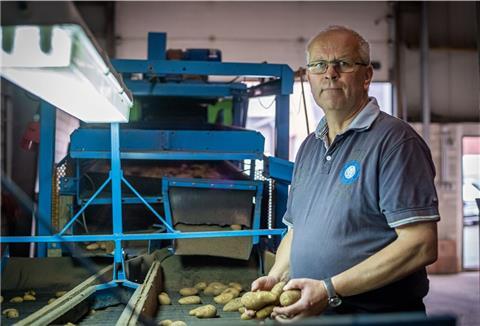 Kartoffelbauer Hans-Dieter Feldmann aus Sievern sortiert sein Gemüse, das er selbst angebaut hat.