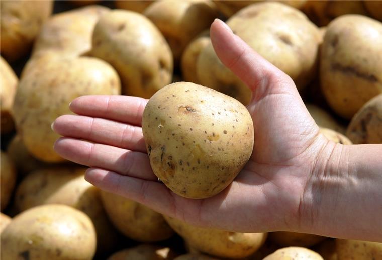 Kartoffeln