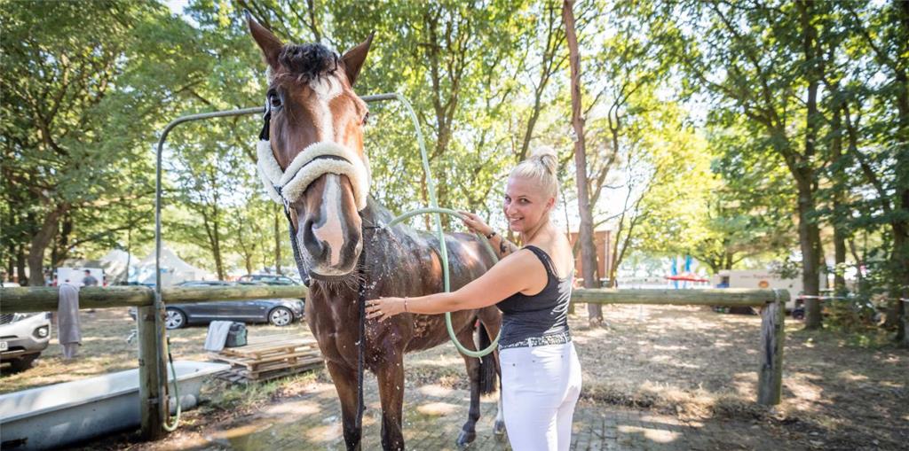 Katharina Duden spendet ihrer Stute Cinderella kühles Nass an der Pferdedusche. ...