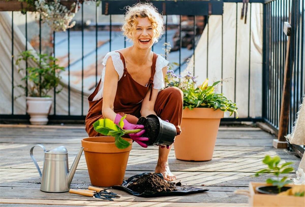 Frau topft Blumen um