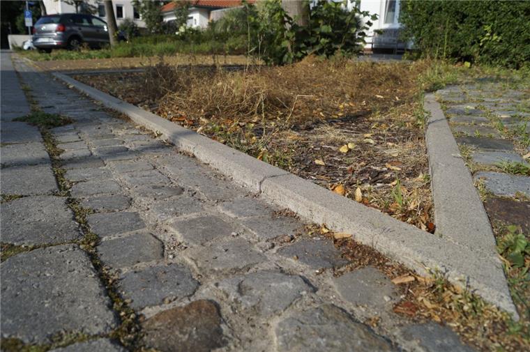 Kein schöner Anblick: die Beete in der Elisabethstraße in Nordenham.