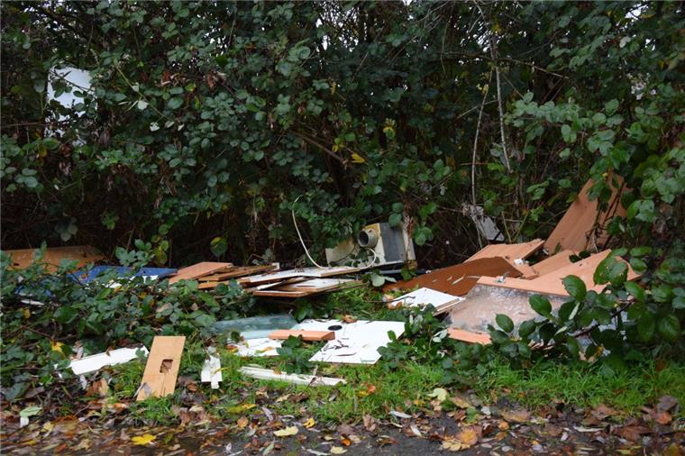 Nordenham: Erneut illegale Müllentsorgung im Seenpark Kein schöner Anblick: Illegale Müllentsorgung am Seenpark.