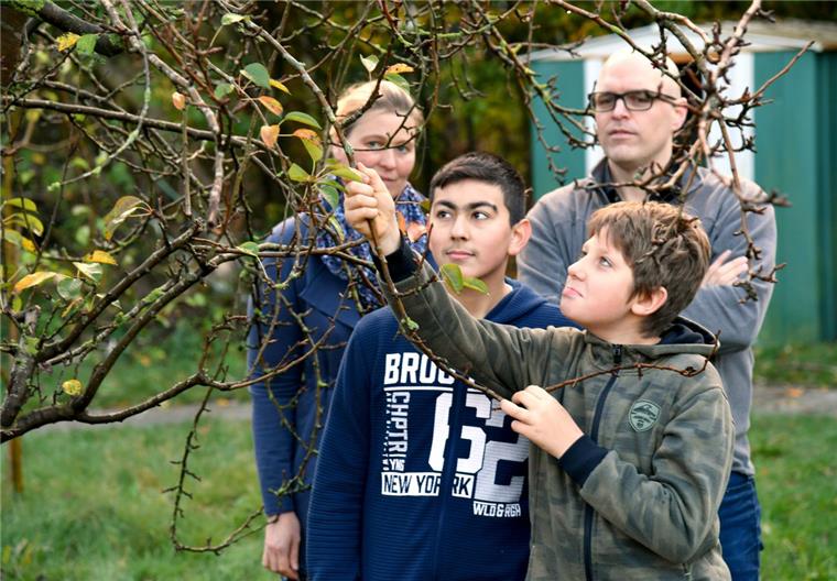 Leherheide: Diebe treiben im Schulgarten ihr Unwesen Keine einzige Birne mehr dran: Schulleiterin Meike Ehler, Joel und Naoar sowie Lehrer Konstantin Plump vor dem leeren Baum.