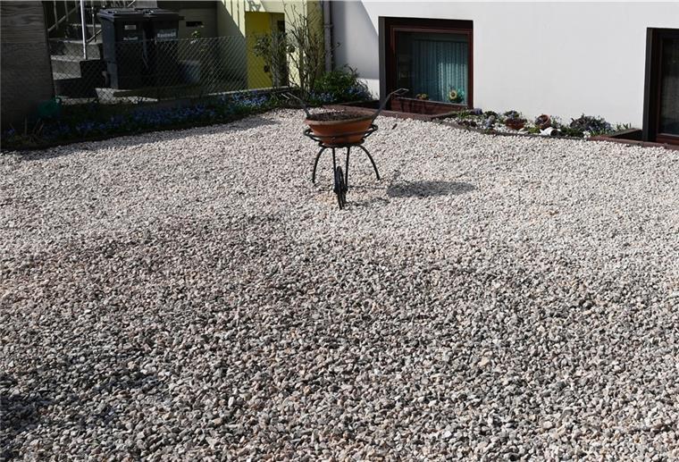 Keine Nahrung für Insekten: In Bremerhaven wird über ein Verbot von Schottergärten diskutiert.