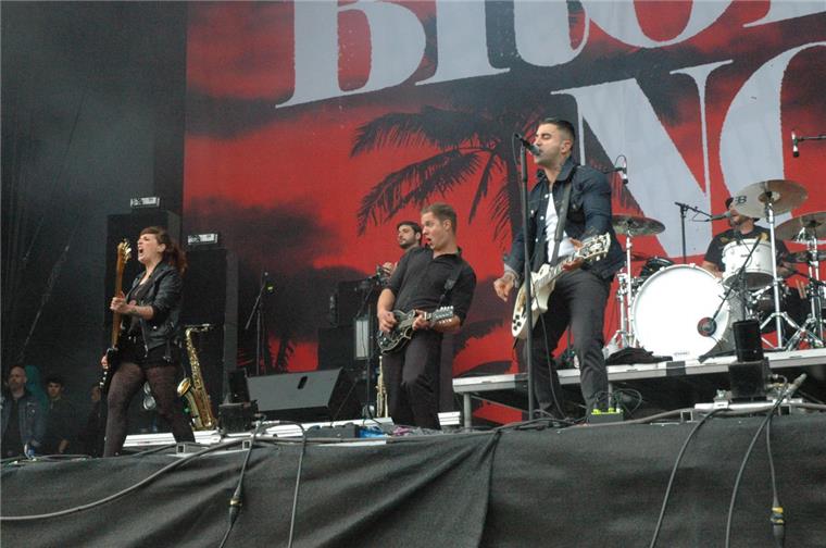 Hurricane-Festival startet krachend Keine Unbekannten beim Hurricane: Die Broilers, hier bei ihrem Auftritt 2014. Diesmal treten die Punkrocker aus Düsseldorf am Freitag auf.