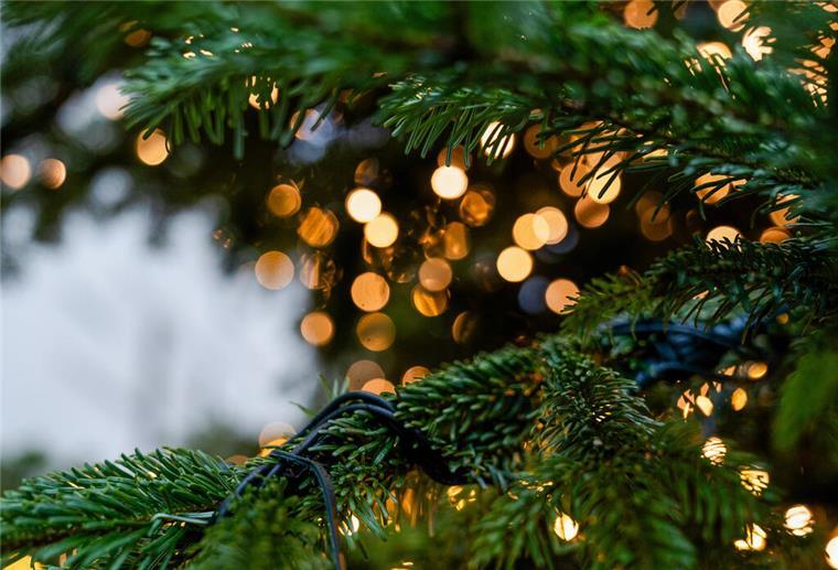 Tannenbaum mit Lichterkette
