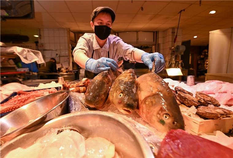 Forschung zu Karpfen in Bremerhaven Kevin Cordes zeigt uns bei der Firma Fiedler im Schaufenster Fischereihafen in Bremerhaven ein paar Karpfen.