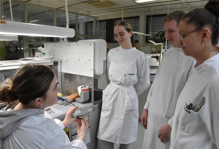Dentallabor Rübeling bietet spannende Ausbildung Azubis Dentallabor Rübeling