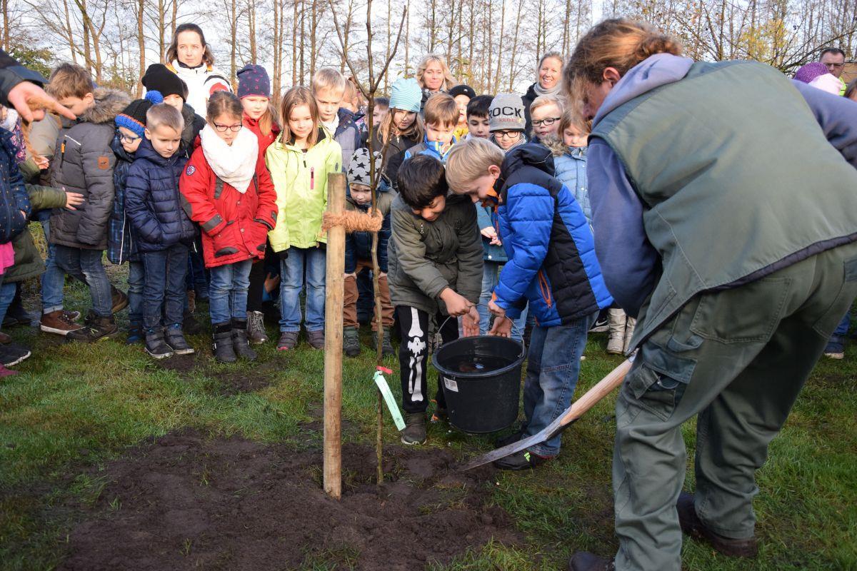 Kinder dürfen ihre Obstbäume mit nach Hause nehmen, doch ein Birnenbaum findet seinen Platz auf dem Gelände der Grundschule Selsingen.