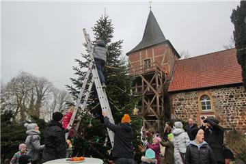 Kinder haben den großen Weihnachtsbaum in Bexhövede von einer Leiter aus mit sel...