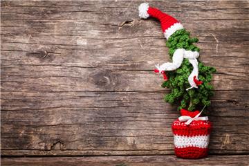 Klassisch soll er sein. Bei Weihnachtsbäumen sind die Deutschen nicht sehr experimentierfreudig.