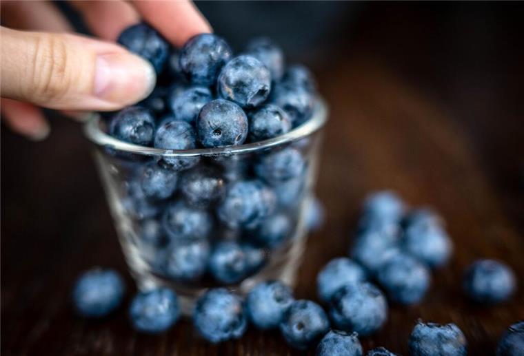 Die Heidelbeere, die Kim Kardashian des Obstkorbs Klein, blau, erfolgreich als Snack: die Heidelbeere. Sie boomt immer noch. (Archivfoto)