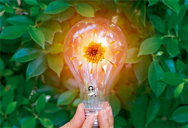 Erneuerbare Energien und Klimaschutz bei der EWE