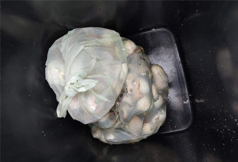 Strafen drohen für Abfall-Sünder: Dieser Inhalt sorgt in der Biotonne für Probleme Klingt komisch, ist aber so: Bioplastiktüten gehören nicht in die Biotonne.