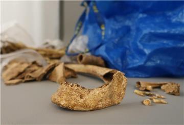 Knochenfragmente, die vermutlich aus einer archäologischen Grabung in Niedersachsen stammen, sind vor Kurzem in einer Ikea-Tasche der Fuldaer Stadt- und Kreisarchäologie übergeben worden.