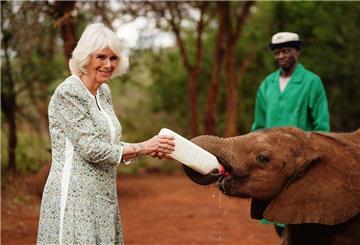Königin Camilla (l) füttert ein Elefantenbaby beim Besuch im Nairobi-Nationalpark.