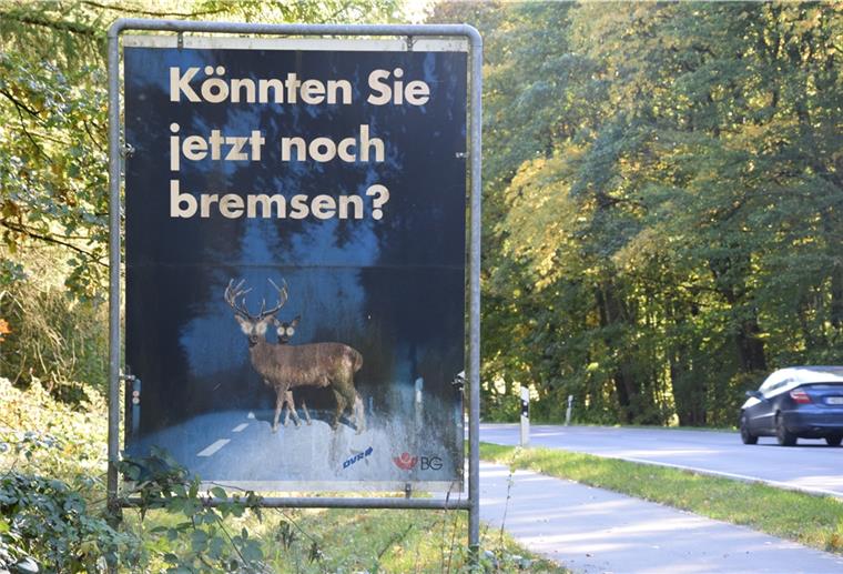 Verkehrswacht warnt vor Wildwechsel-Gefahr "Könnten Sie jetzt noch bremsen?": Wer auf der B 71 bei Wehldorf unterwegs ist, der kennt dieses Schild, das am Rande eines Waldgebietes steht und Autofahrer in dem unübersichtlichen Kurvenbereich vor Wildwechseln warnt.