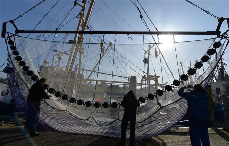 Krabbenfischer im Cuxland müssen im Hafen bleiben Krabbenfischer arbeiten im Hafen am Netz ihres Kutters.