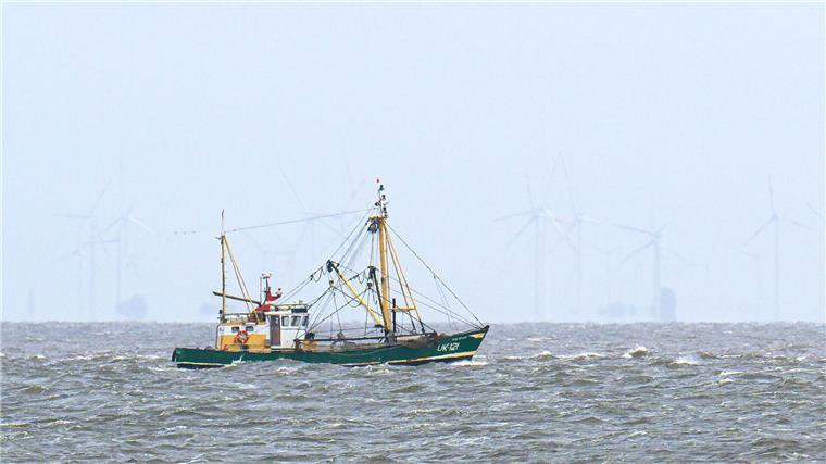 EU-Gericht nickt Fangverbote in der Nordsee ab Krabbenfischer verlieren vor Gericht (Foto-aktuell).