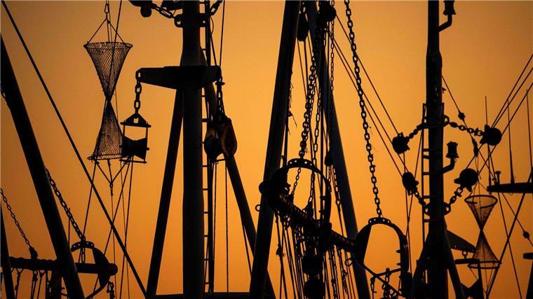 Fischereibetriebe kämpfen mit großen Kostensteigerungen Krabbenkutter liegen bei Sonnenuntergang im Hafen.