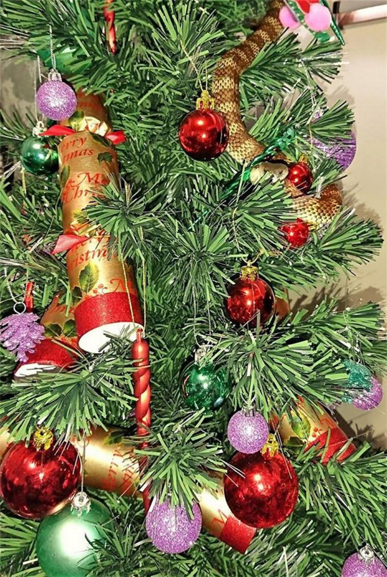 Heftig: Giftschlange im Weihnachtsbaum Krass: Eine Australierin hat in ihrem Weihnachtsbaum eine giftige Schlange gefunden.