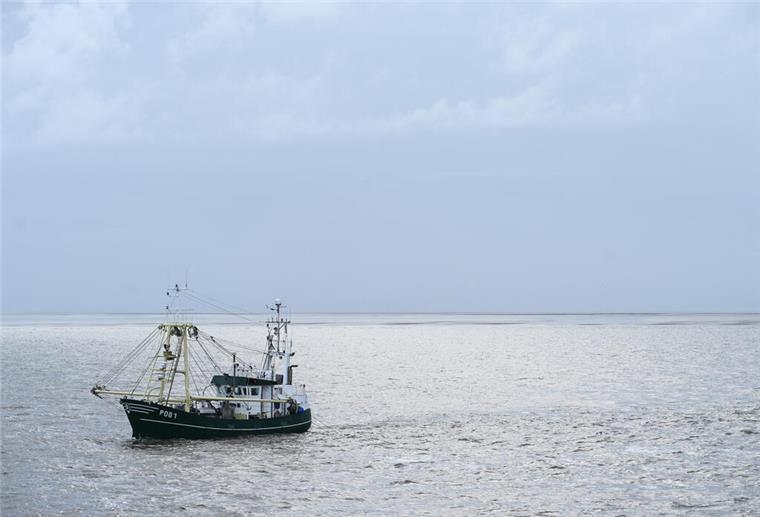 Spätsommer legt Pause ein: Kühles Wochenende im Norden Ein Kutter ist in der Nordsee bei bewölktem Himmel unterwegs.
