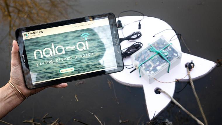 Aue im Fokus: Kann KI den belasteten Fluss retten? Künstliche Intelligenz soll helfen, die Daten der Wassersonde „Nala 1“ zu analysieren.