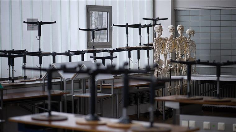 Ärztekammer fordert mehr Medizin-Studienplätze Künstliche Skelette stehen in einem Saal, in dem Studierende an Körperspenden arbeiten.