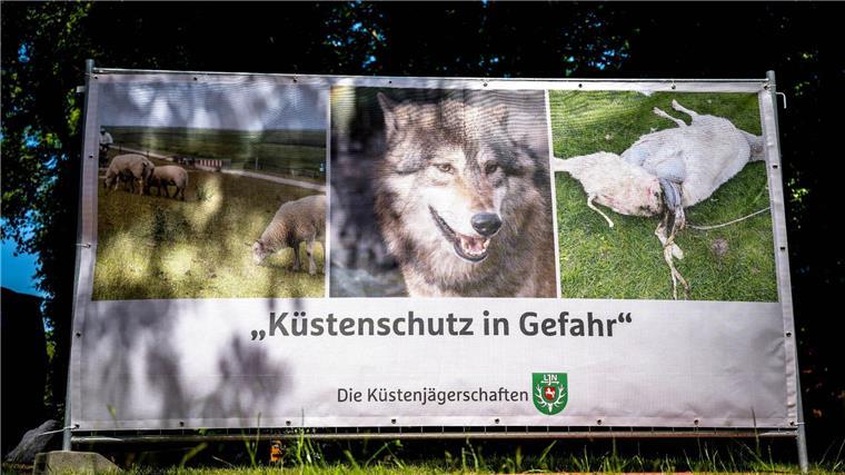 „Küstenschutz in Gefahr“ steht auf einem Plakat, das einen Wolf und ein gerissenes Schaf zeigt.