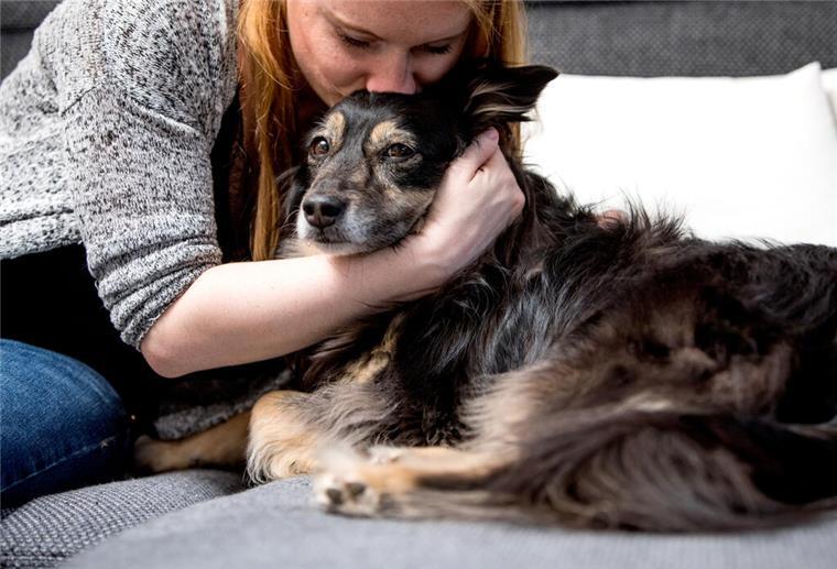 Warnung vom Bundesamt: Kuscheln mit Haustieren kann zur tödlichen Falle werden Ein Frau gibt einem Hund einen Kuss auf den Kopf.