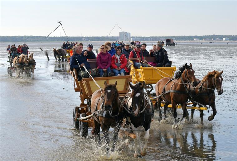 Kutschen fahren durch das Watt zwischen Cuxhaven Duhnen und Neuwerk. Nachdem die alte Strecke unpassierbar wurde, fand man einen neuen Weg durch das Watt zur Insel. Doch auch da kann es zu Vorfällen kommen.