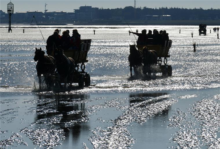 Neuer Wattenweg sichert Erreichbarkeit von Insel Neuwerk Kutschen fahren über das Watt zwischen Cuxhaven Duhnen und Neuwerk. Foto: Michael Bahlo/dpa