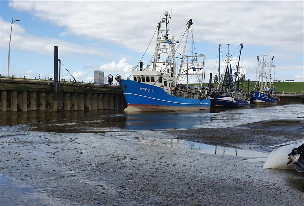 Butjadingen: Krabbenfischer in der Dauerkrise Kutter bei Niedrigwasser im Wremer Hafen Leuschner