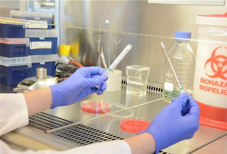 Hochschule Bremerhaven entwickelt Schnelltest gegen Legionellen Laborversuch im BIAMOL