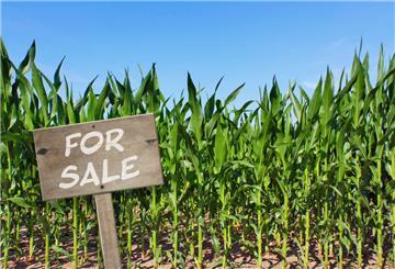 Land ist in Zeiten niedriger Zinsen eine begehrte Geldanlage geworden. Deshalb greifen Investoren immer öfter zu, wenn Ackerland zum Verkauf angeboten wird.