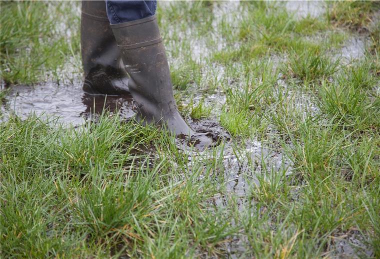 Cuxland: Nassester Februar des Jahrtausends zwingt zum Umdenken Landwirte haben mit aufgeweichten Feldern zu kämpfen.