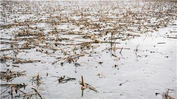 Landwirte in Niedersachsen können nun Anträge für Hochwasserhilfen einreichen. (Archivbild)