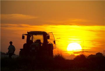 Landwirte sollen mehr von Solaranlagen profitieren.